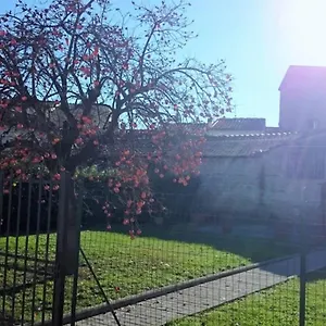 La Casa Di Lucia - Firenze
